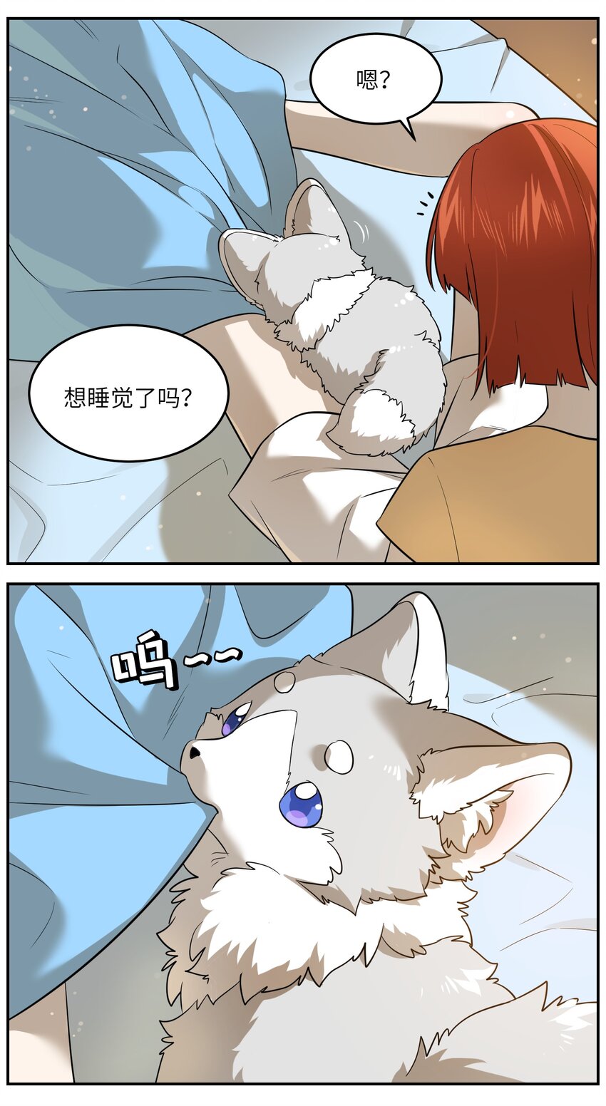 033 是小黑！26