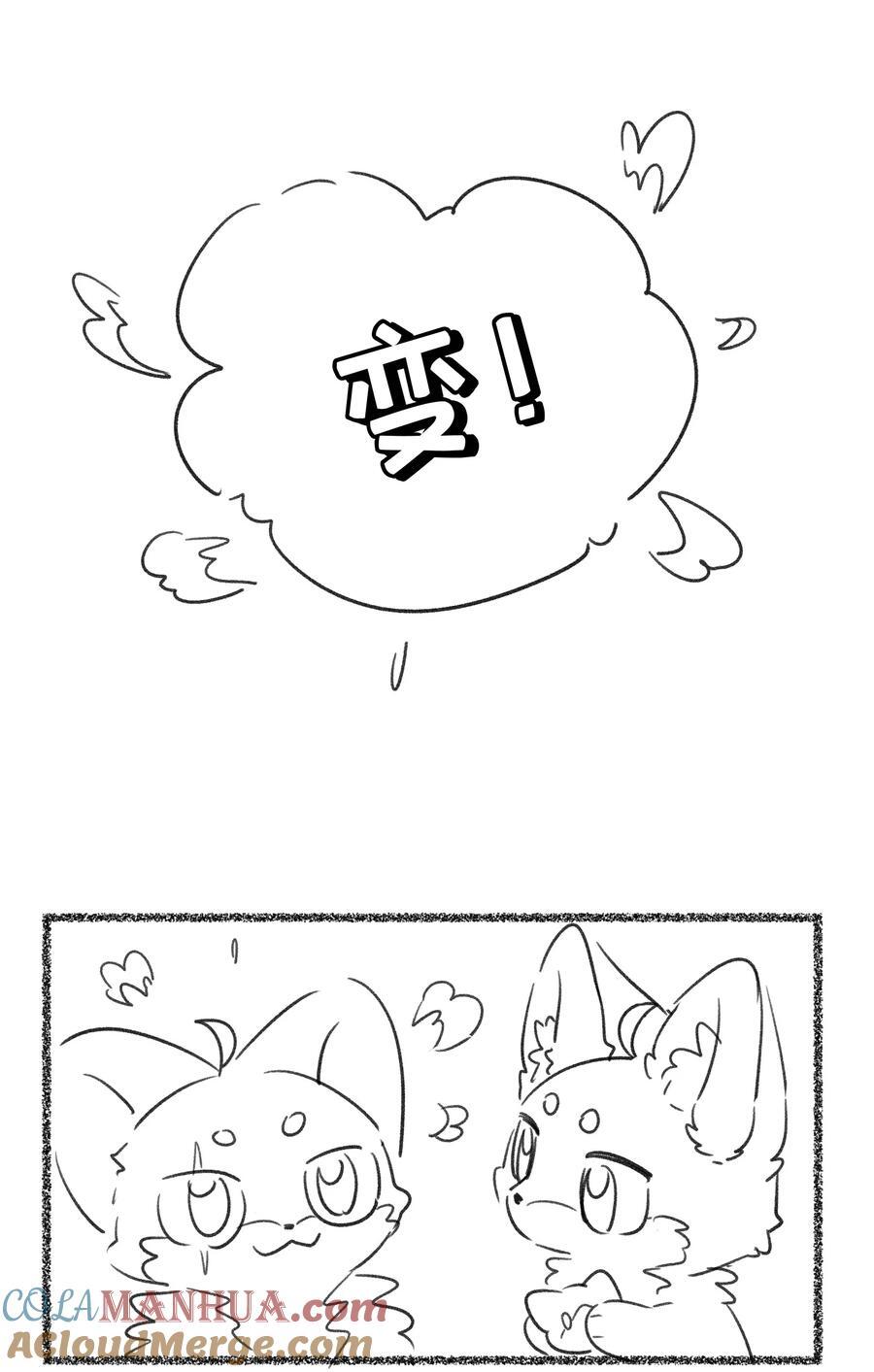 155 信任51