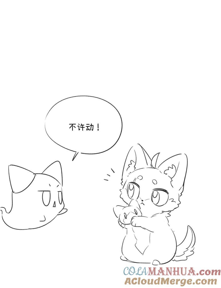 155 信任48