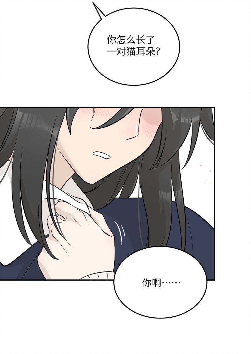 120 大猫猫！14