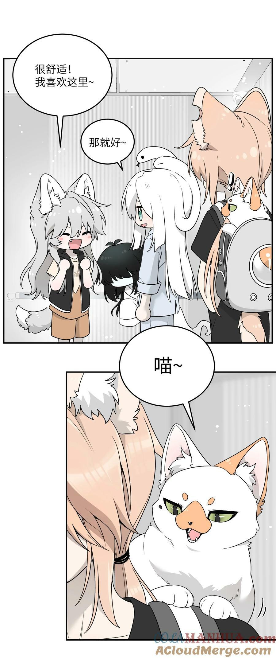 144 新的租客24