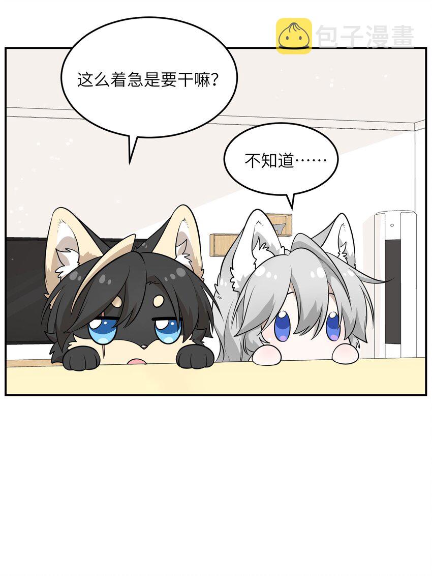 083 决心9