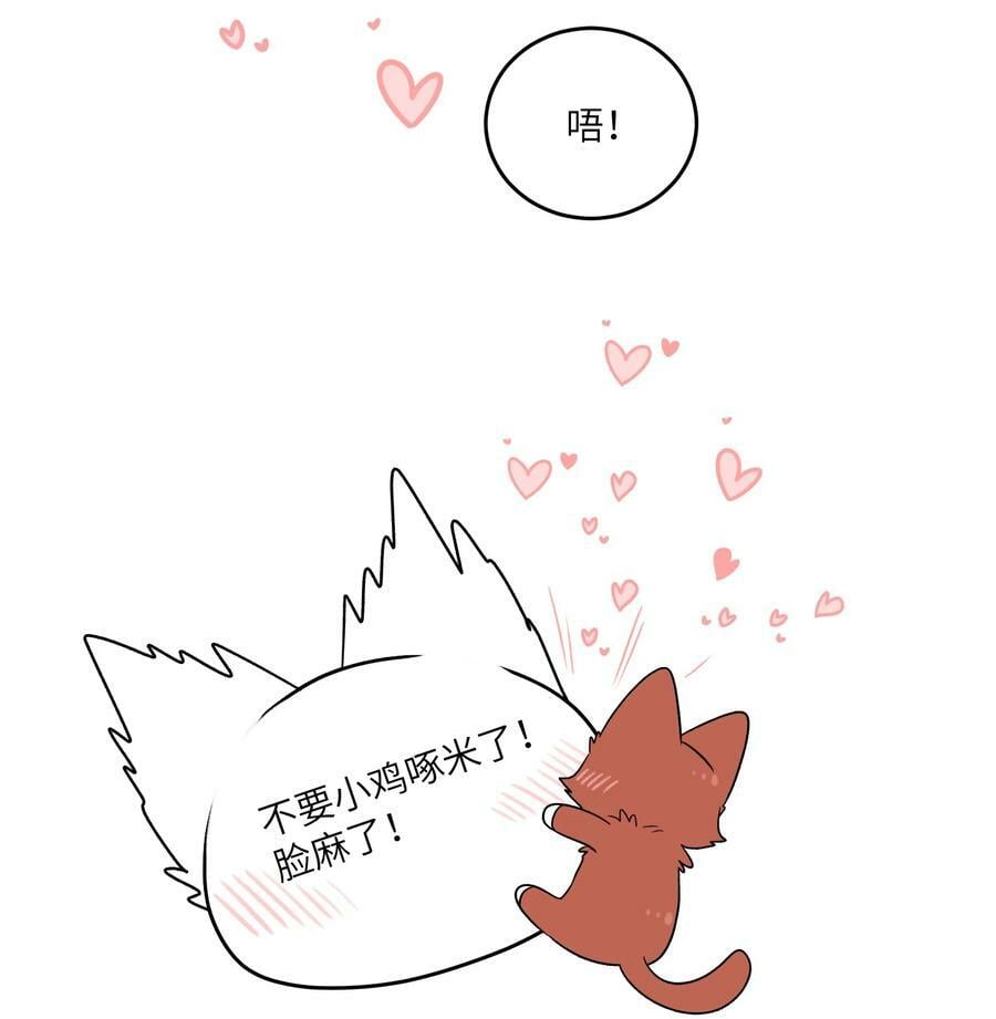 141 小鸡啄米！10