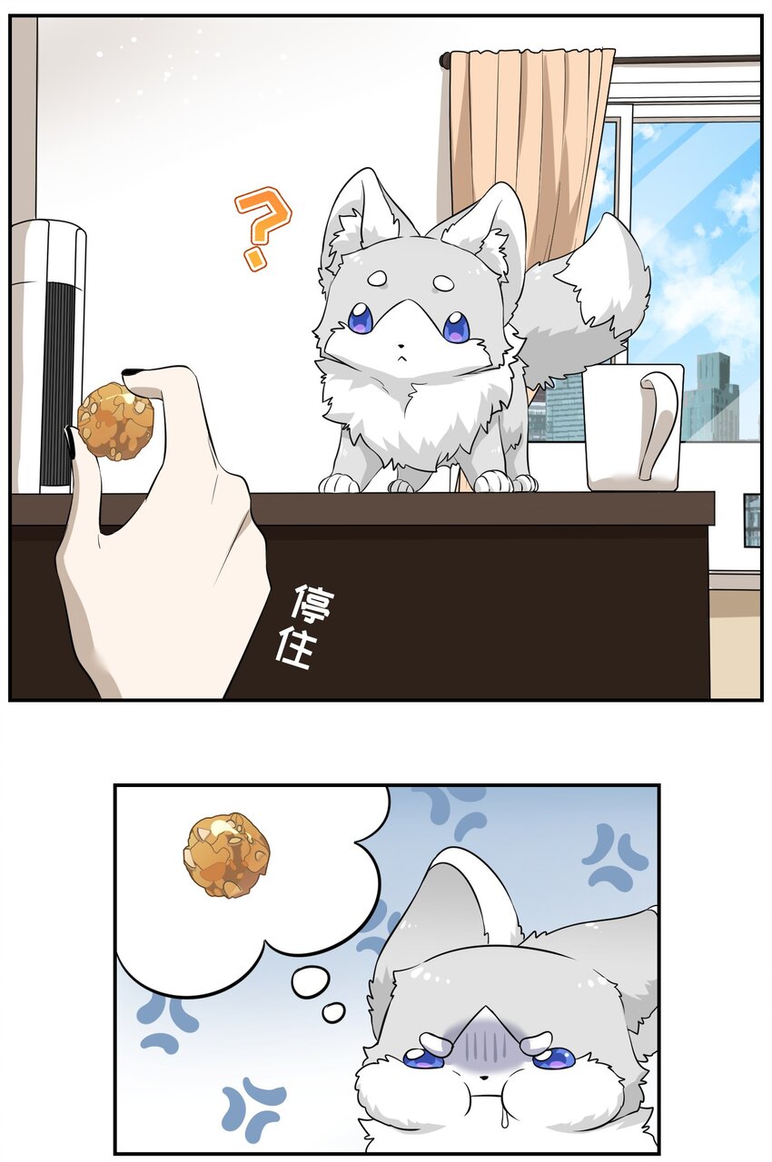 035 小可爱~9