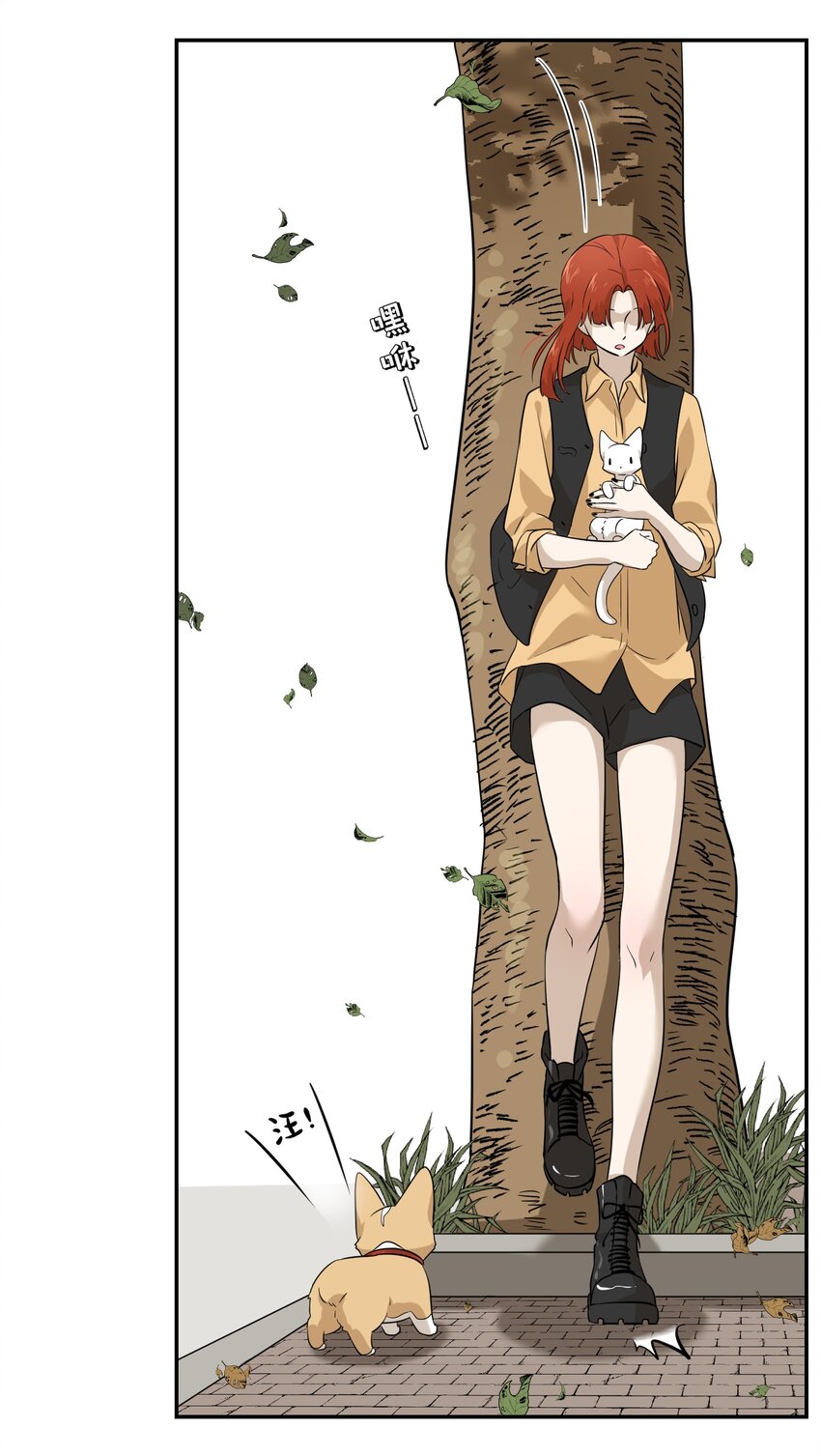 008 走散24