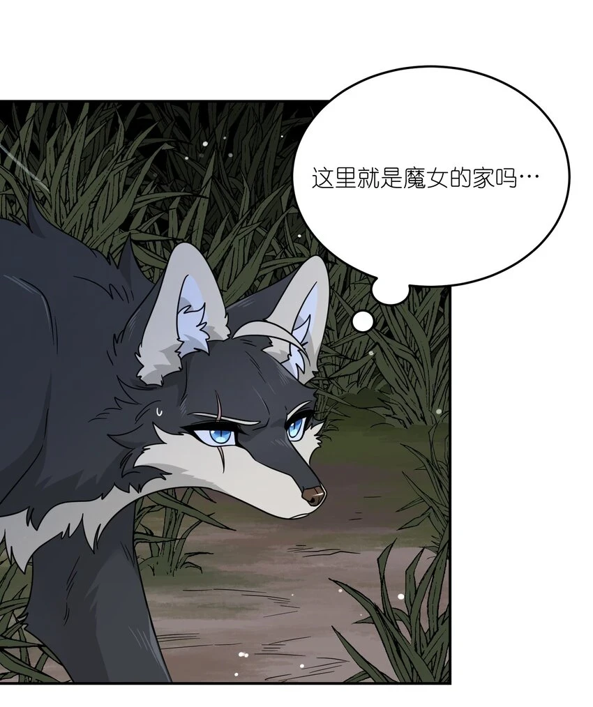 特别篇 猎人与狼：高赏金的委托11