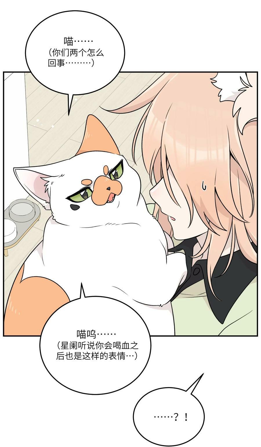 146 朋友……（含联动抽奖）31