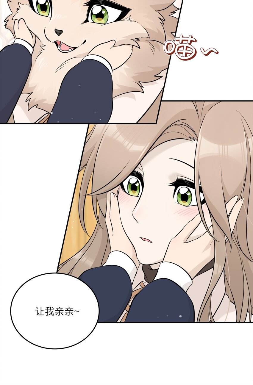 120 大猫猫！6