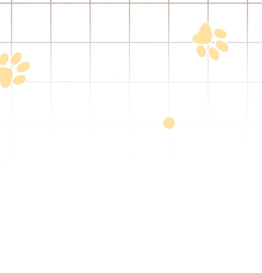 特别篇 新年快乐！30