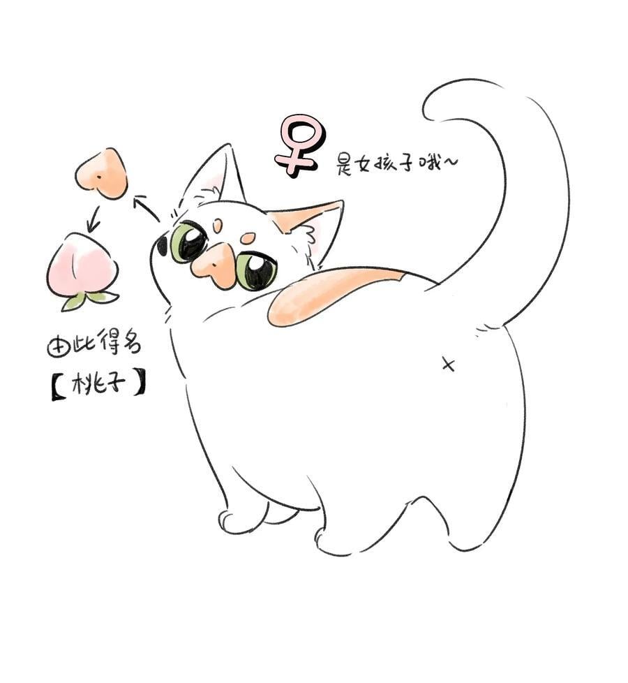 153 叹气二人组44