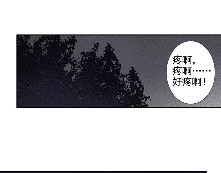 第19话 舞天女尊3