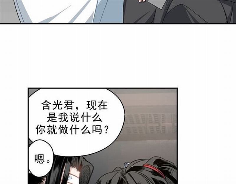 第67话 蓝忘机你喜欢过谁吗？9
