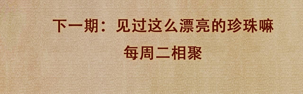 第52话 小姨受伤啦？！97