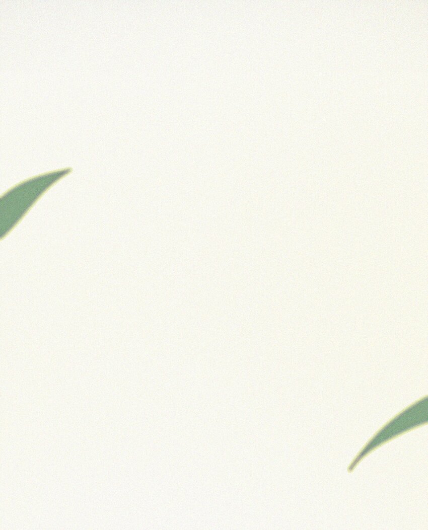005 协议的真相58