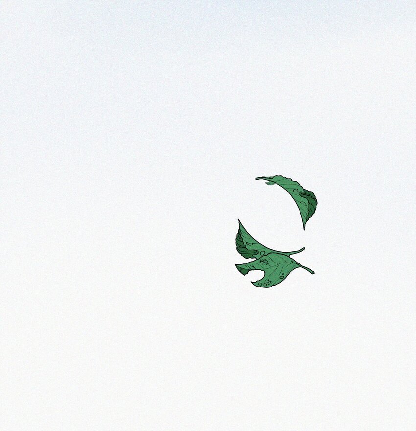004 说谎48