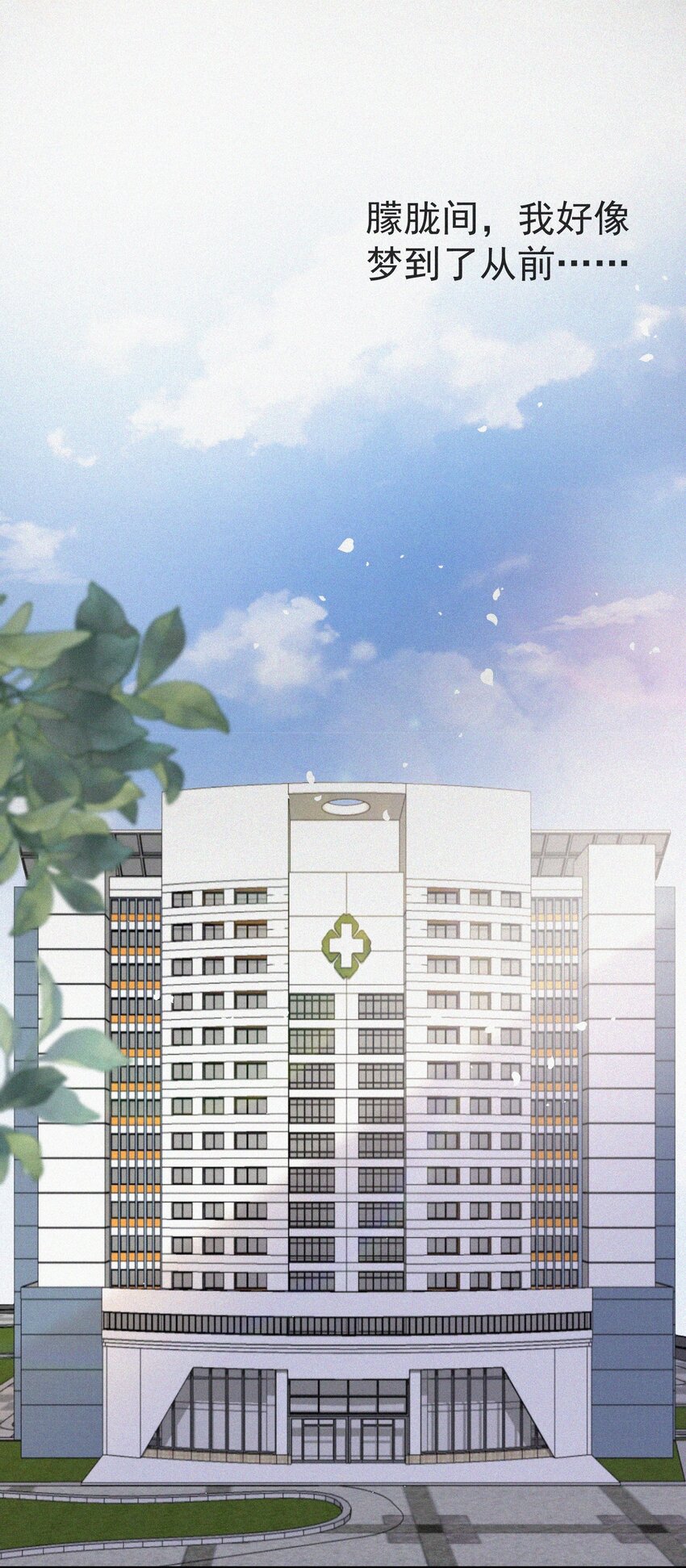003 合约期限35