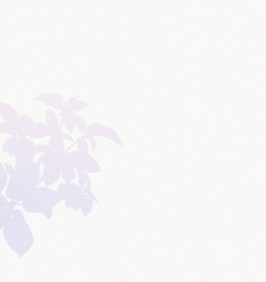 003 合约期限48