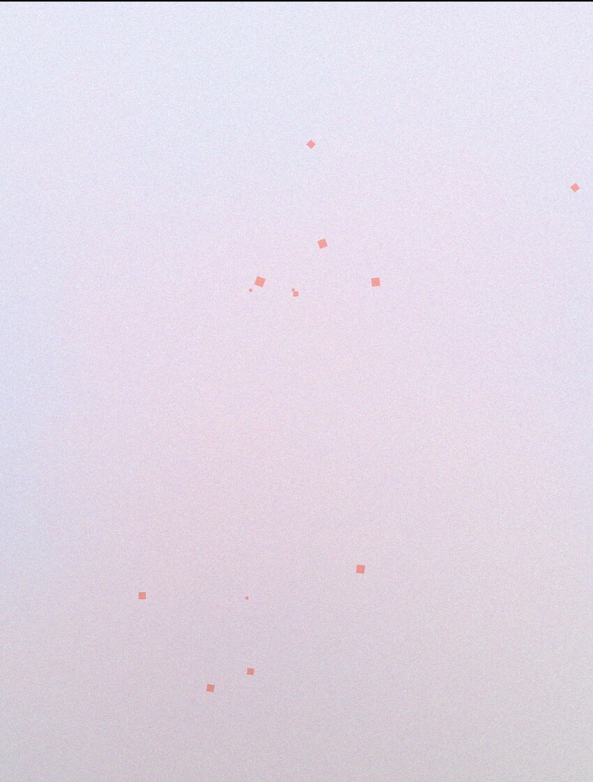 010 别碰我13