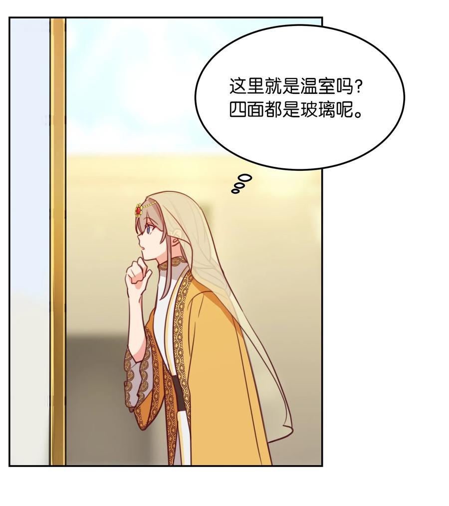 11 藏红花38