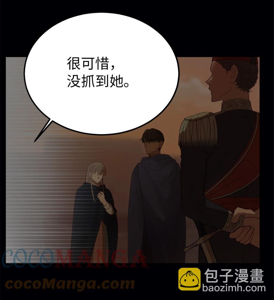 71 蜘蛛网9