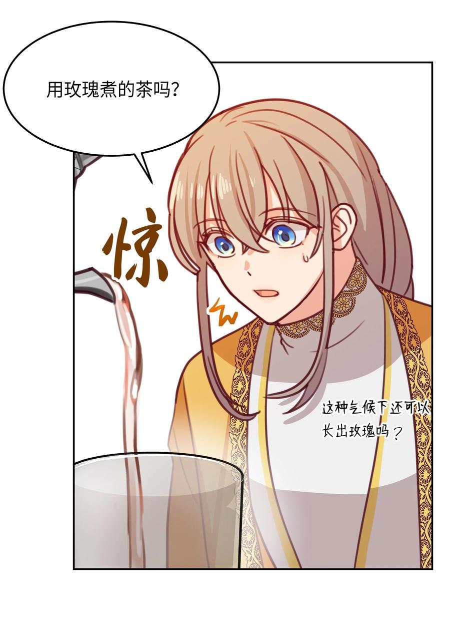 11 藏红花22