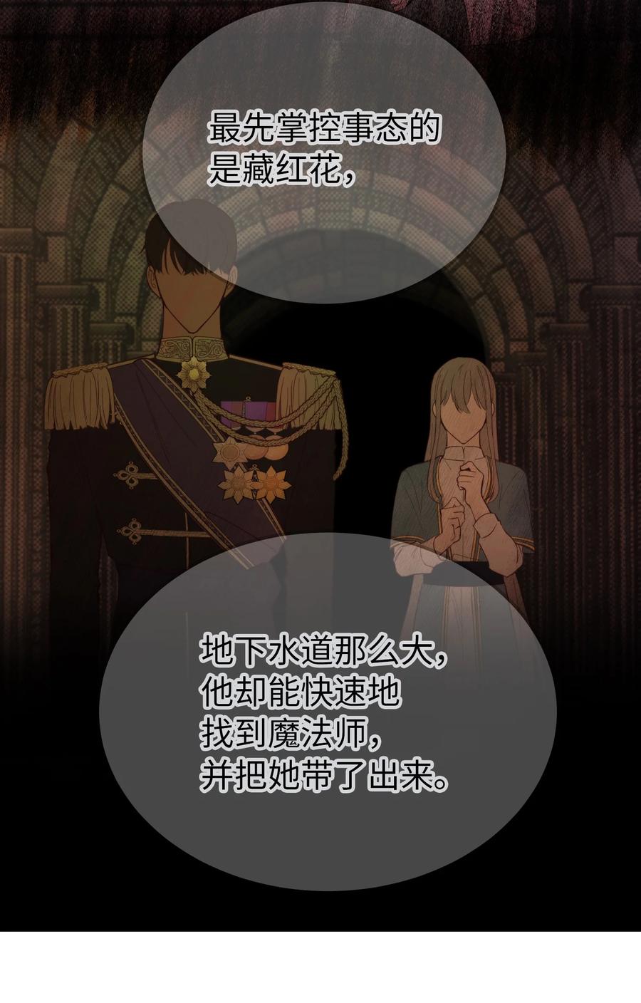 71 蜘蛛网31