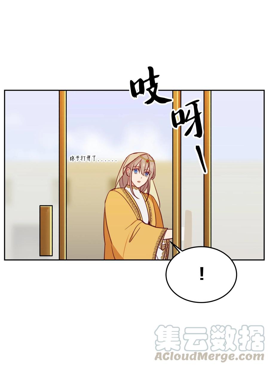 11 藏红花40