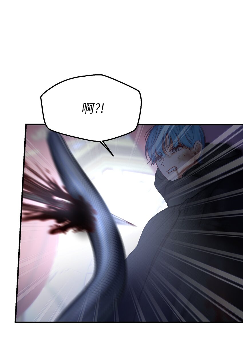 113齐心协力13
