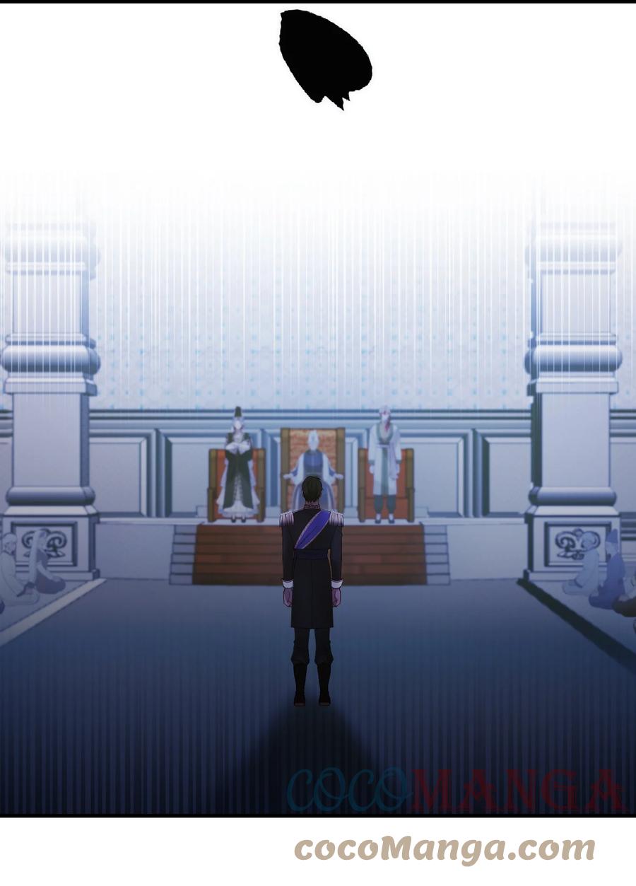 71 蜘蛛网39