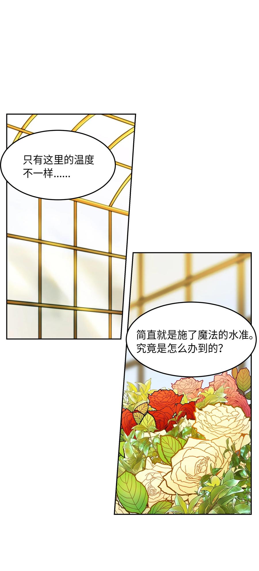 11 藏红花42