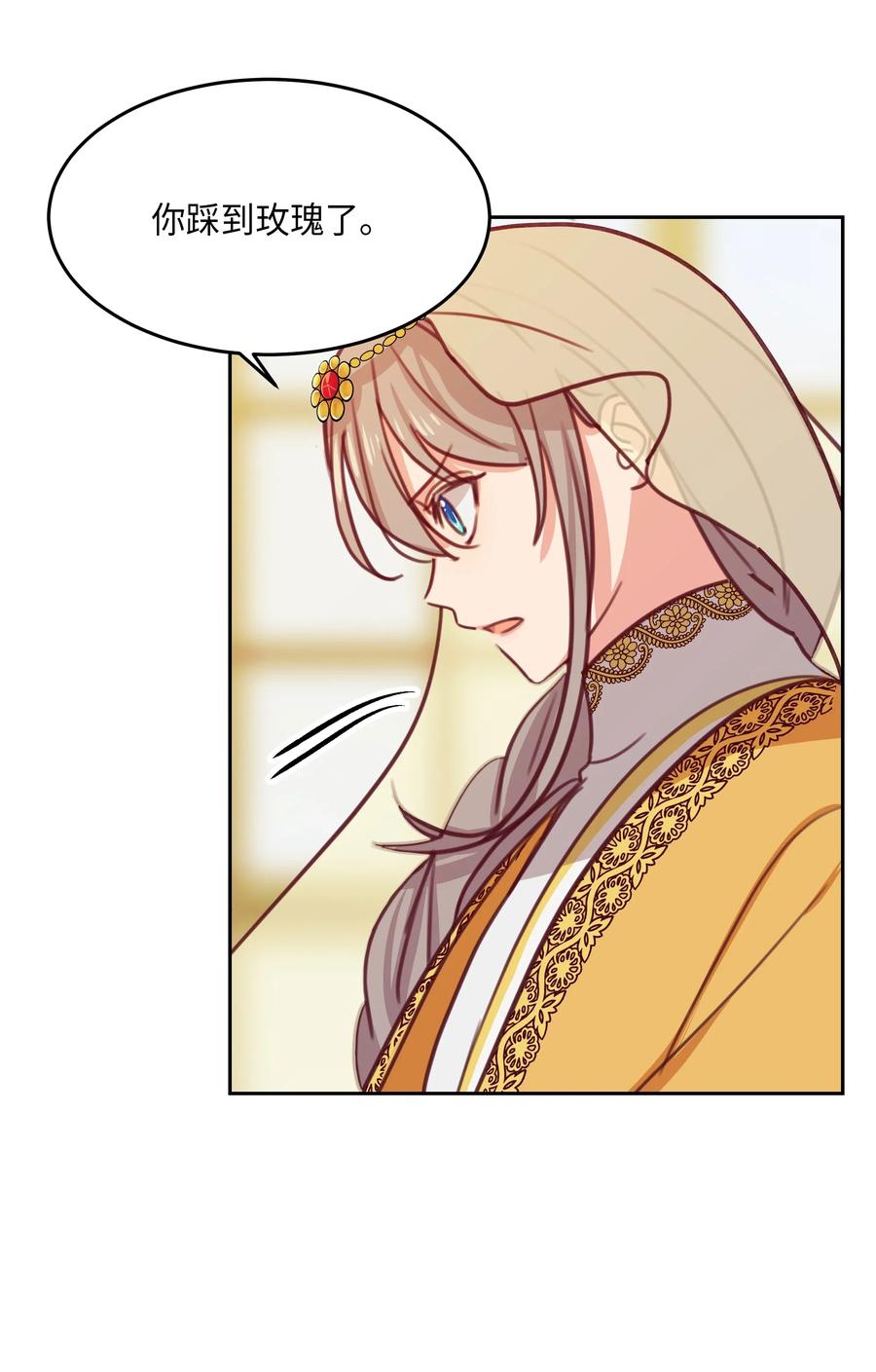 11 藏红花50