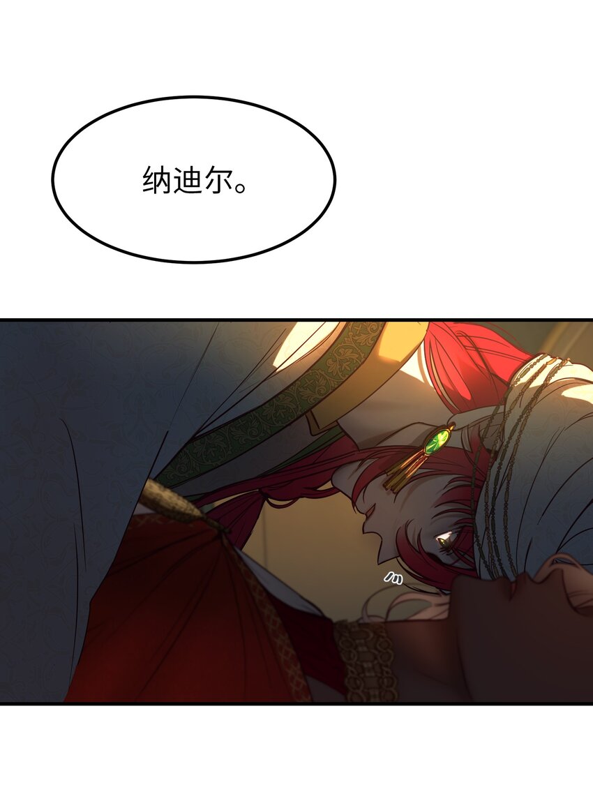 126 纳迪尔的结局49