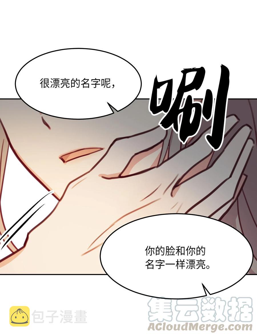 11 藏红花56