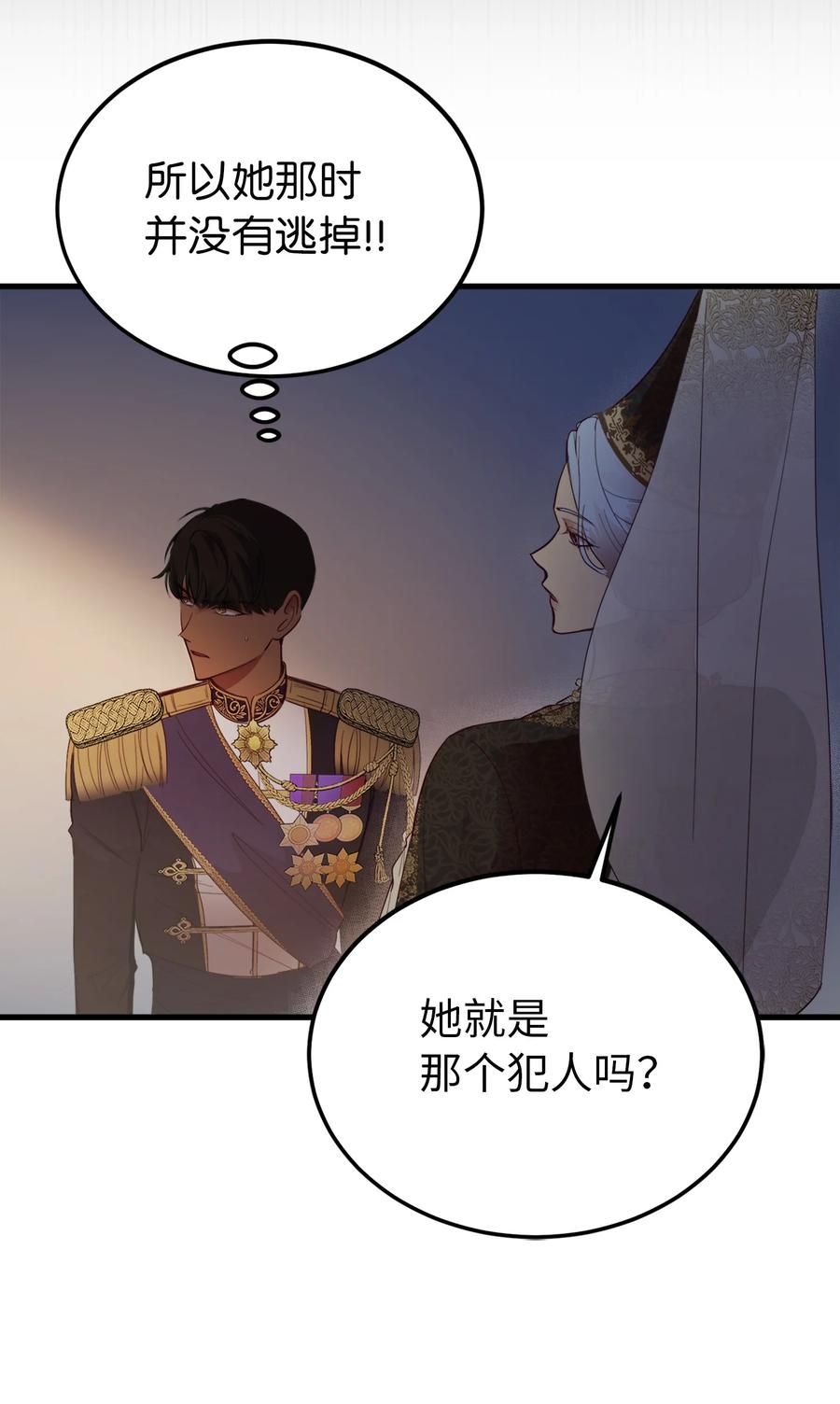 71 蜘蛛网14