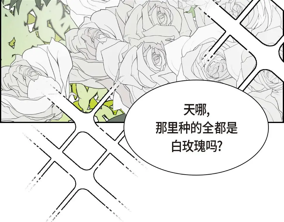 第67话 在玫瑰花上染上你的颜色67