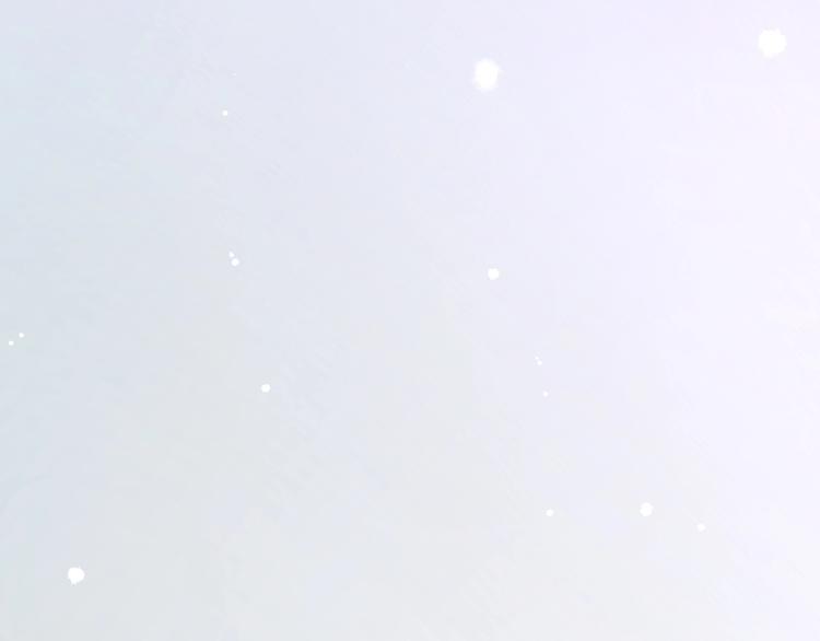番外 兔子糕点61