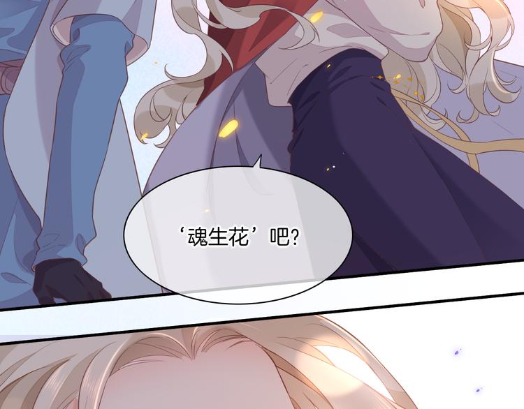 第35话 魂生花（上）84