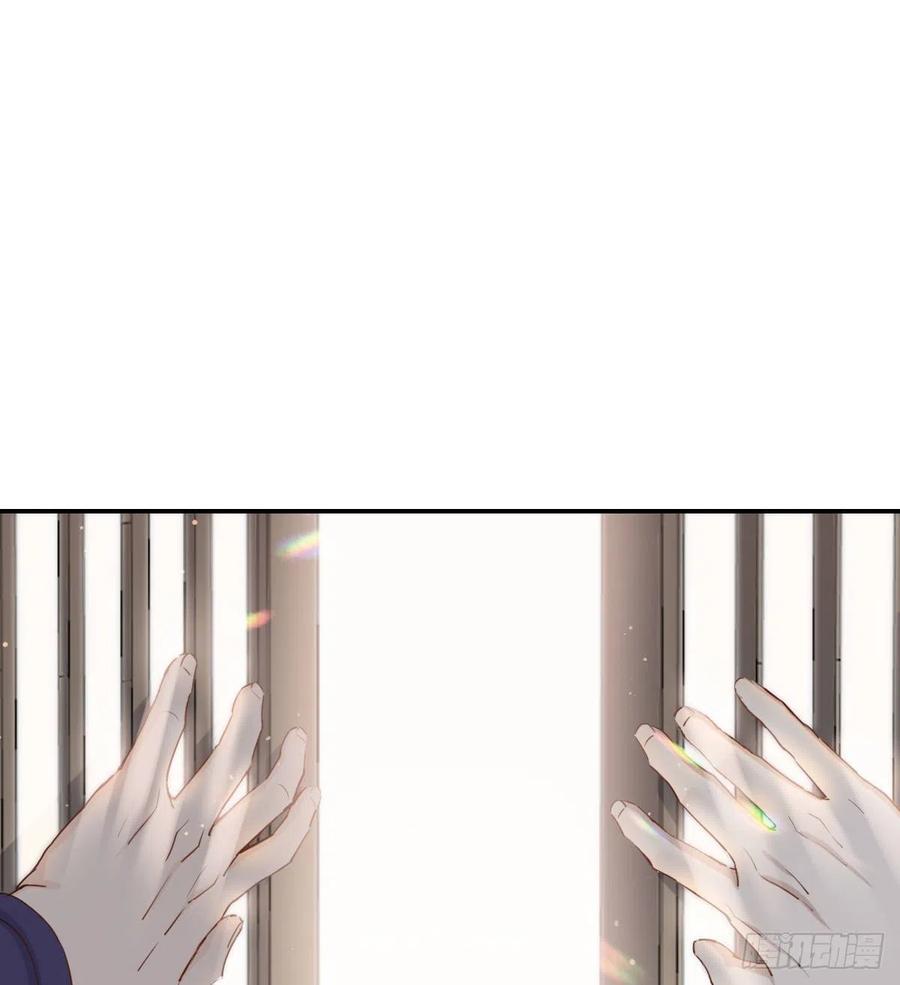 君临41