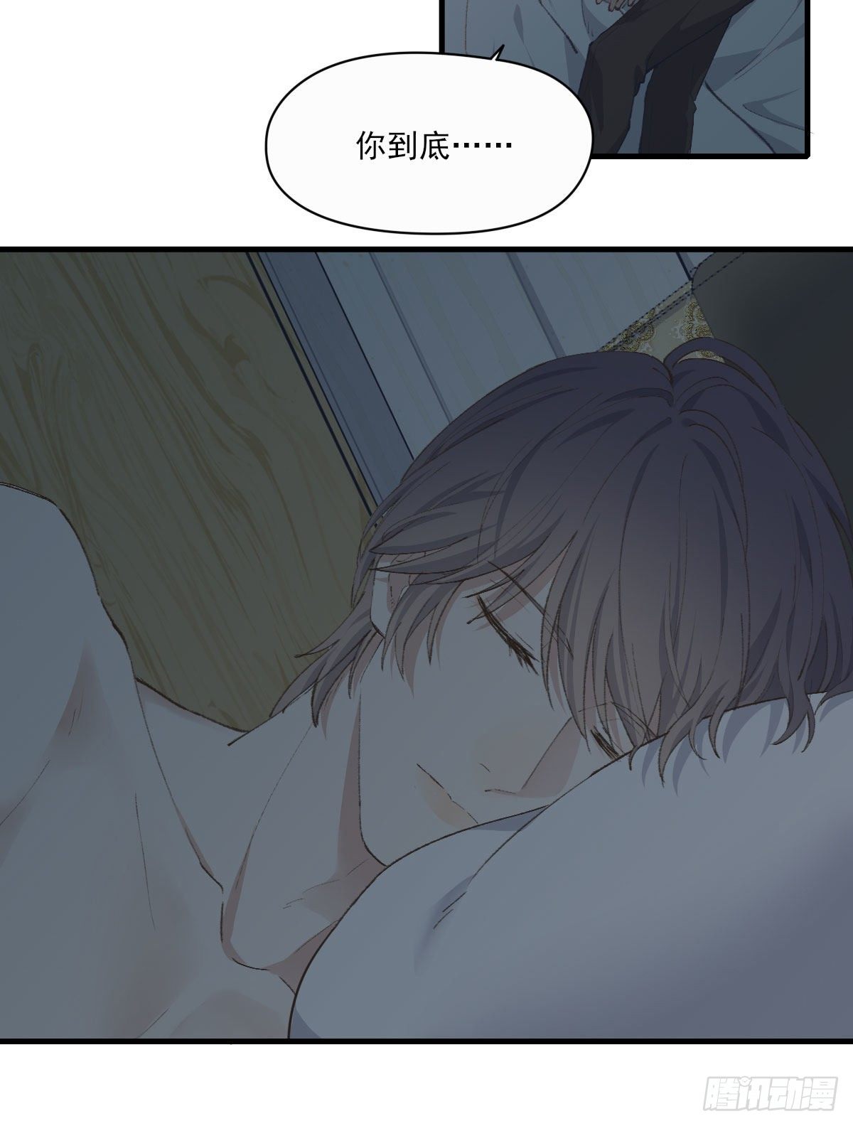 入住31