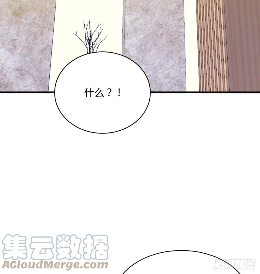 粉丝36