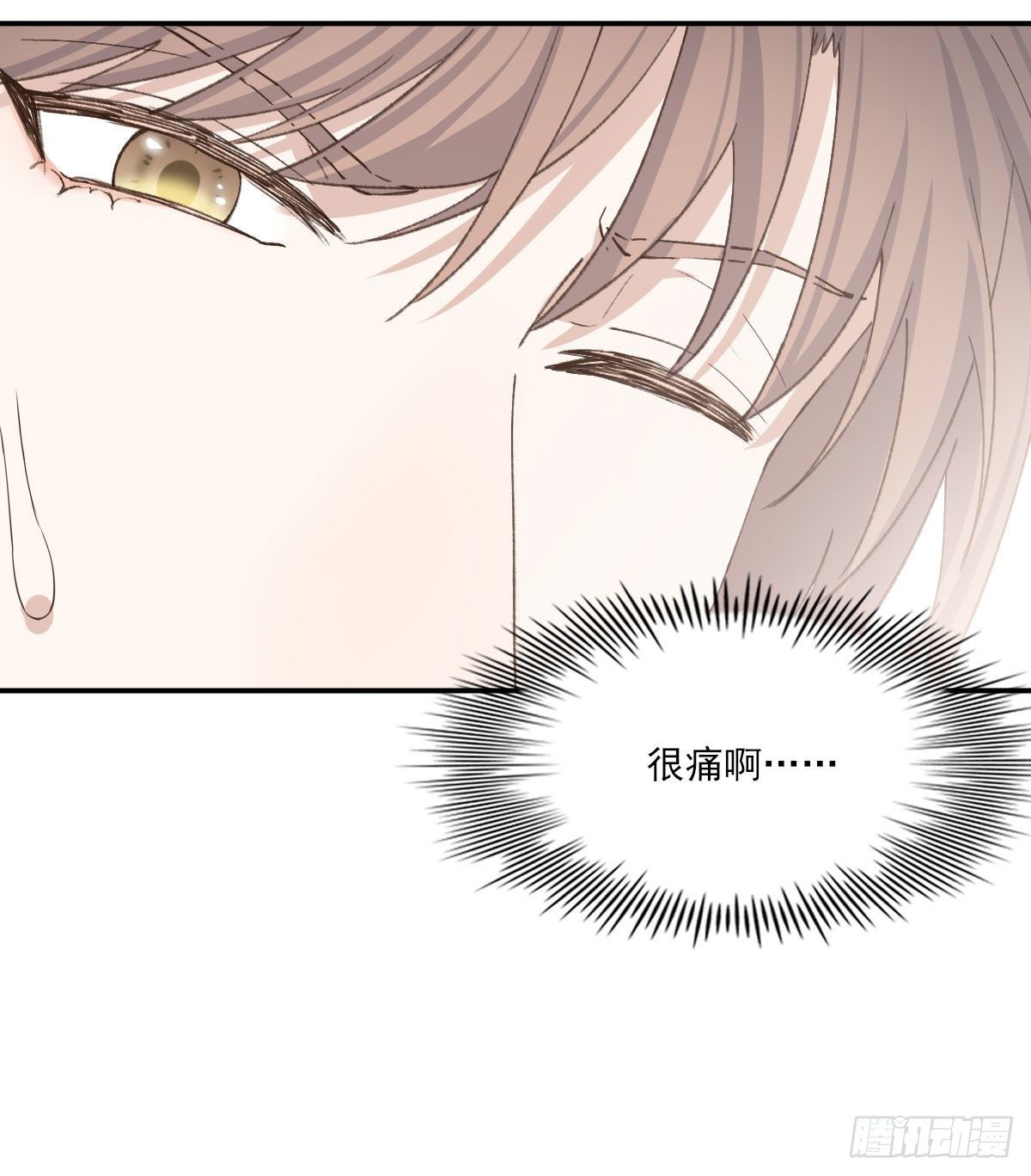 抓痕4