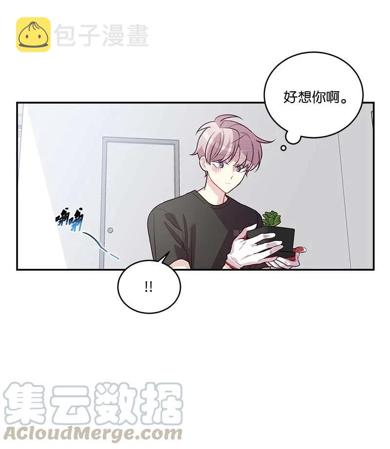 85 【哥】42