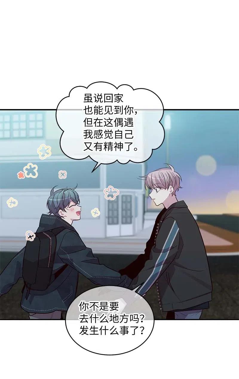 59 爱犬35