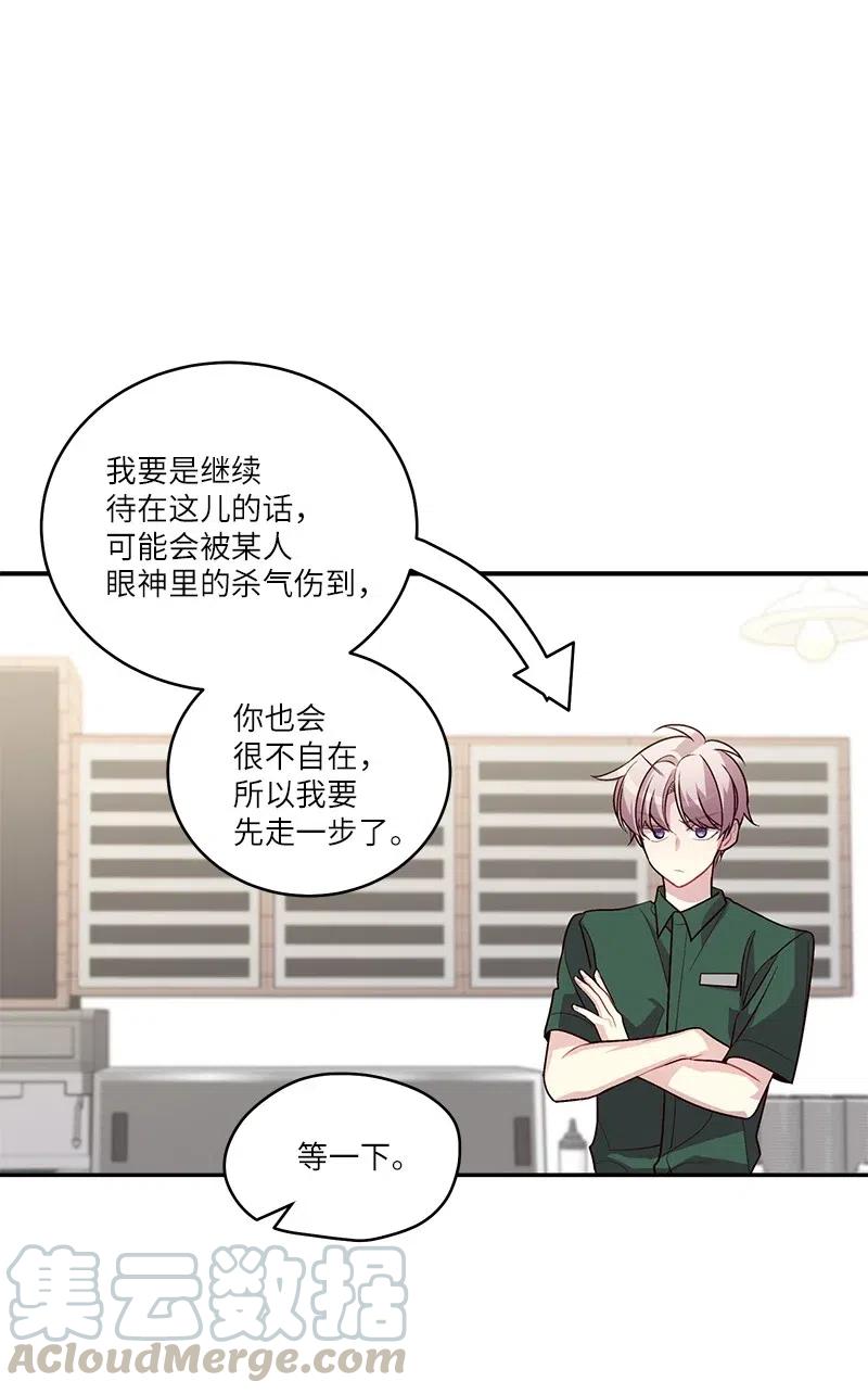 81 道歉66