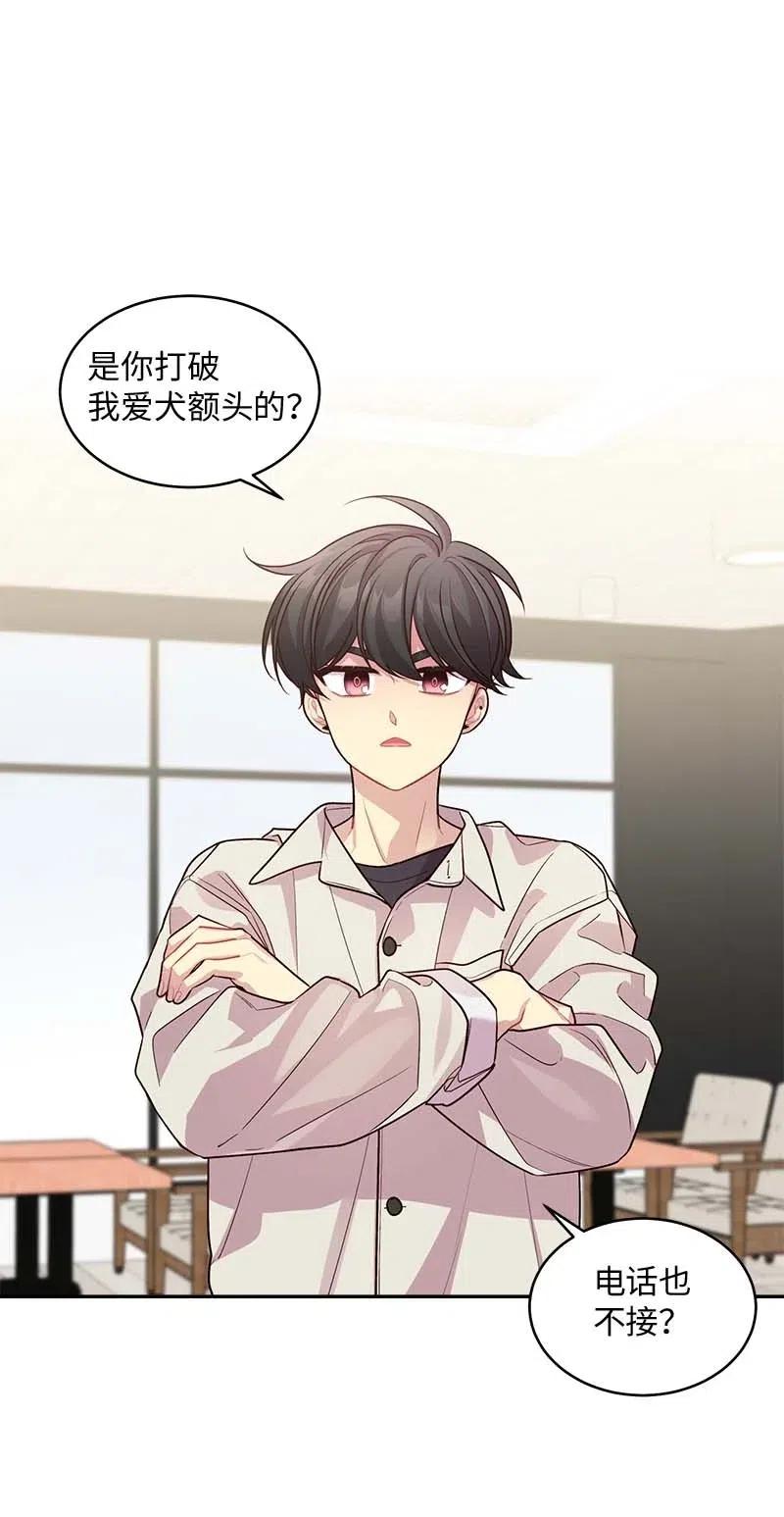 59 爱犬41