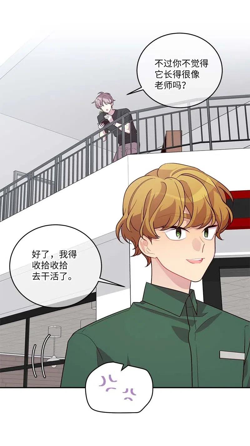 85 【哥】41
