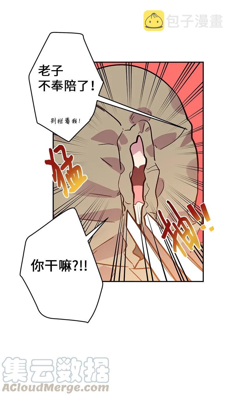 28 道歉24