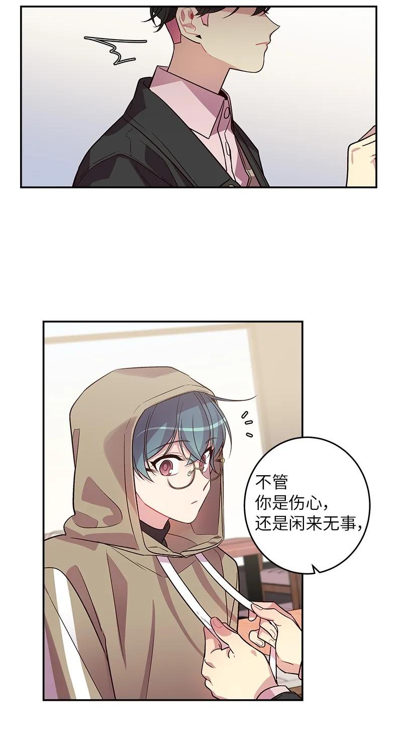 28 道歉23