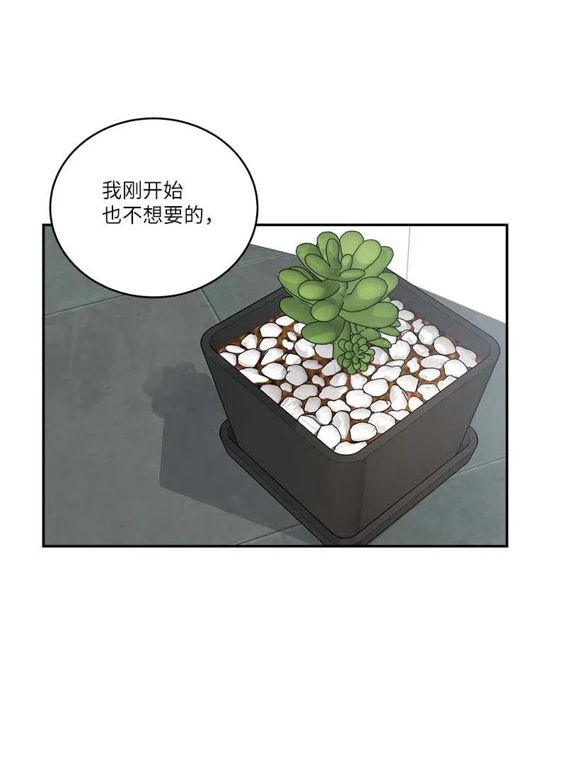 85 【哥】40