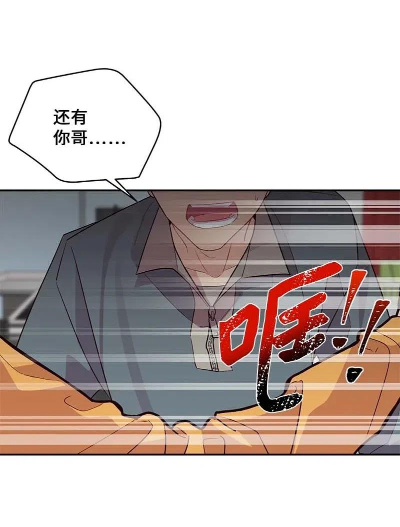 59 爱犬26